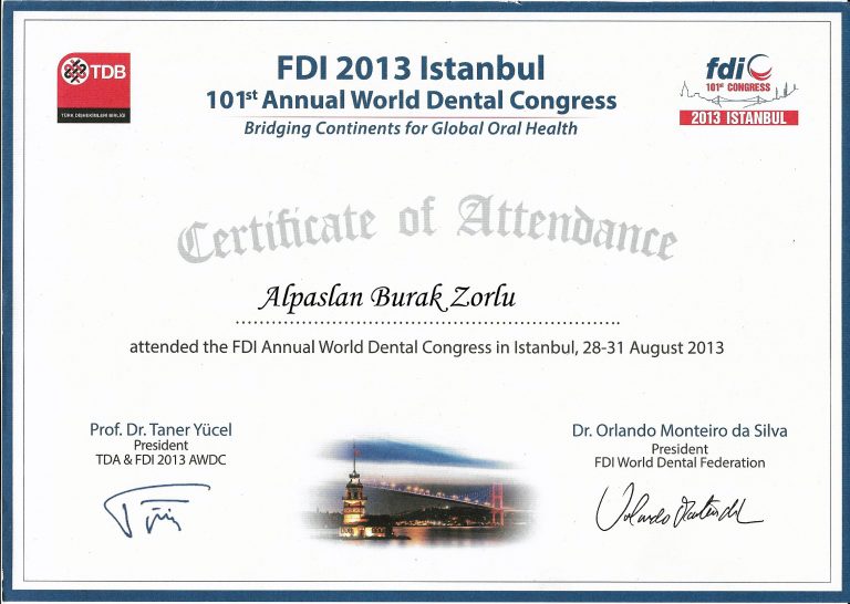 2013 FDI İstanbul