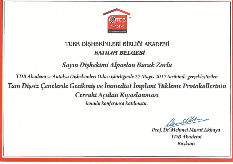2017 TDB Akademi