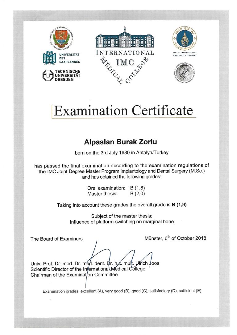 2018 Almanya Examination Certificate